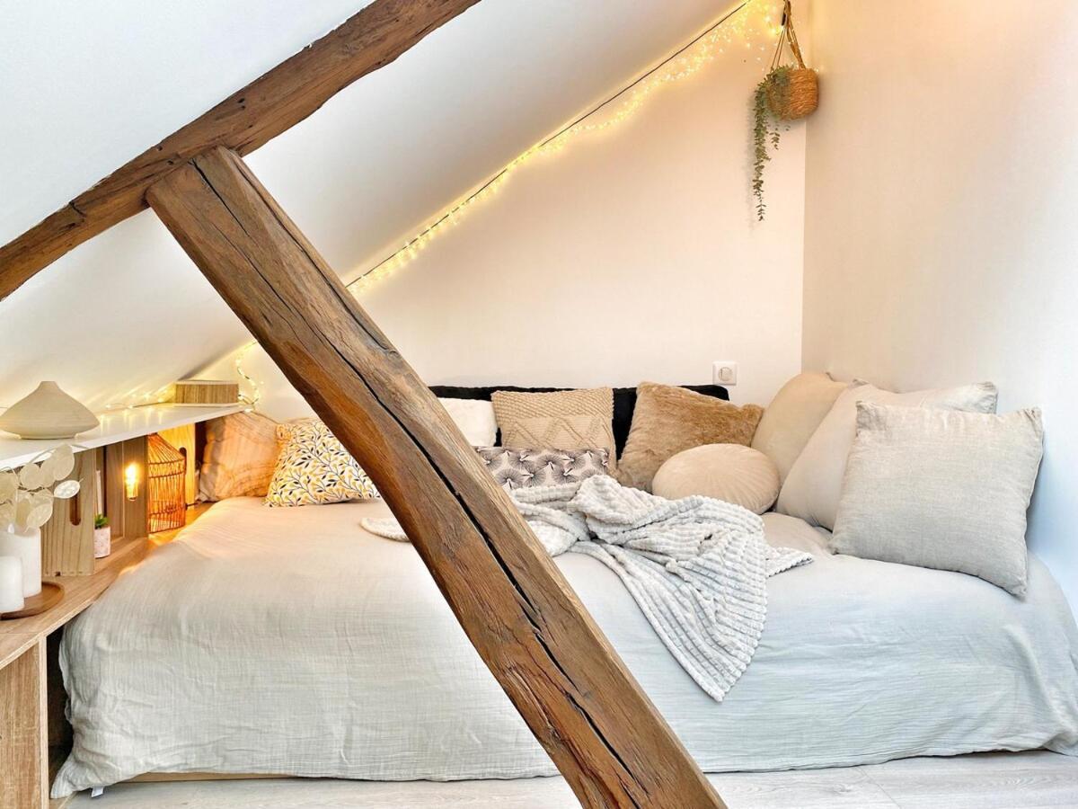 Appartement Le Repere Des Sommeliers - Sejour A Auxerre Extérieur photo
